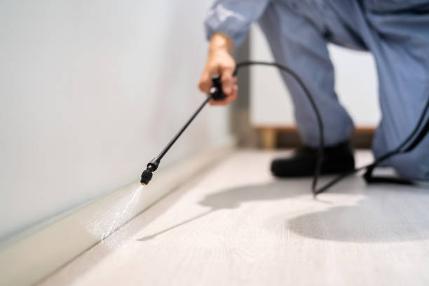 Licensed Mosquito Control service in Beltsville, MD - Show Me Pest Control
