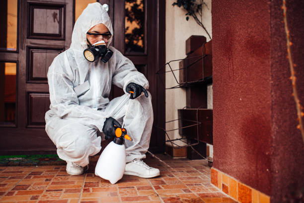 Reliable Mosquito Control contractor in Beltsville, MD by Show Me Pest Control